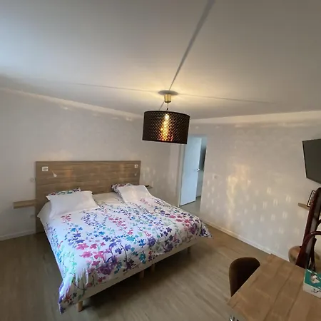 Residence Gaby & Tom 4 Etoiles Contrexeville Room photo